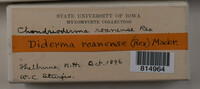 Image Associated With the Occurence